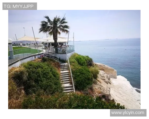 里昂与利马索尔的较量谁能在欧战中脱颖而出