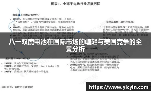 八一双鹿电池在国际市场的崛起与美国竞争的全景分析